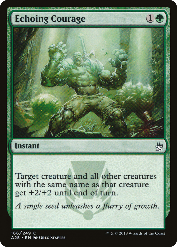 Echoing Courage (A25-166) [Masters 25]