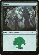 Forest (SLD-572) [Secret Lair Drop] Foil