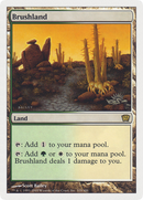 Brushland (9ED-319) [Ninth Edition] Foil