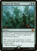 Awaken the Woods (BRO-170) [The Brothers' War]