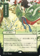 Regrowth (JP Alternate Art) (Foil Etched) (STA-119) (Borderless) [Strixhaven Mystical Archive] Foil