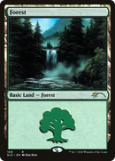 Forest (SLD-109) [Secret Lair Drop] Foil