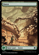 Forest (BLB-279) [Bloomburrow]