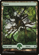 Forest (BFZ-273) [Battle for Zendikar] Foil