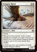 Tempest Hawk (TDM-031) [Tarkir: Dragonstorm] Foil