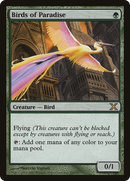 Birds of Paradise (10E-252) [Tenth Edition]