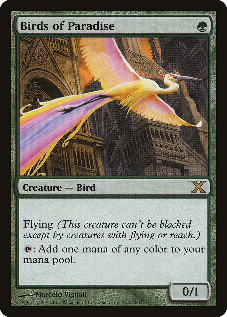 Birds of Paradise (10E-252) [Tenth Edition]