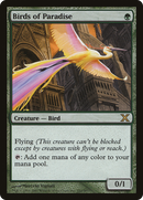 Birds of Paradise (10E-252) [Tenth Edition]