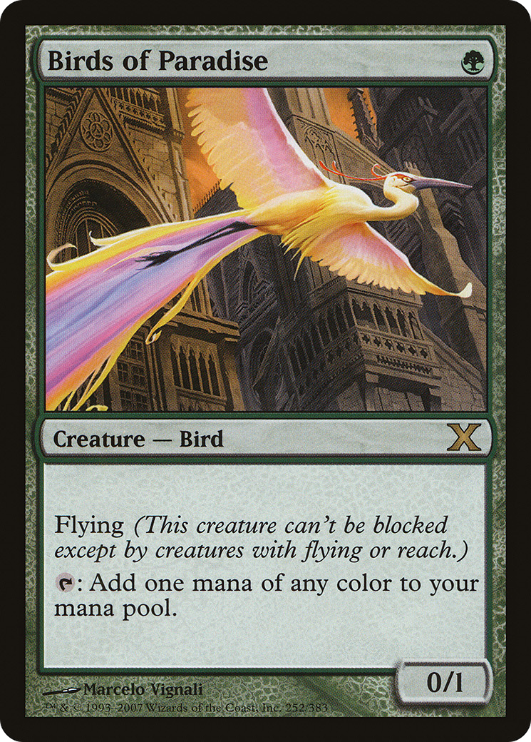 Birds of Paradise (10E-252) [Tenth Edition]