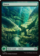 Forest (TDM-276) [Tarkir: Dragonstorm]