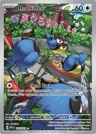 Rookidee - 225/193 225 - [SV02 Paldea Evolved] Holofoil