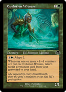 Evolution Witness (MH3-424) [Modern Horizons 3]