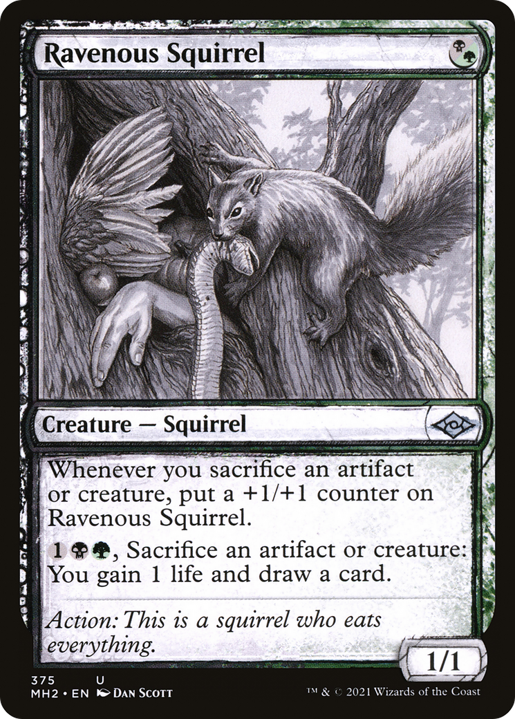Ravenous Squirrel (Showcase) (MH2-375) [Modern Horizons 2]