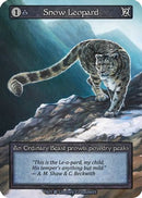 Snow Leopard  - Beta