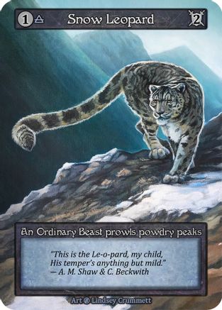 Snow Leopard  - Beta
