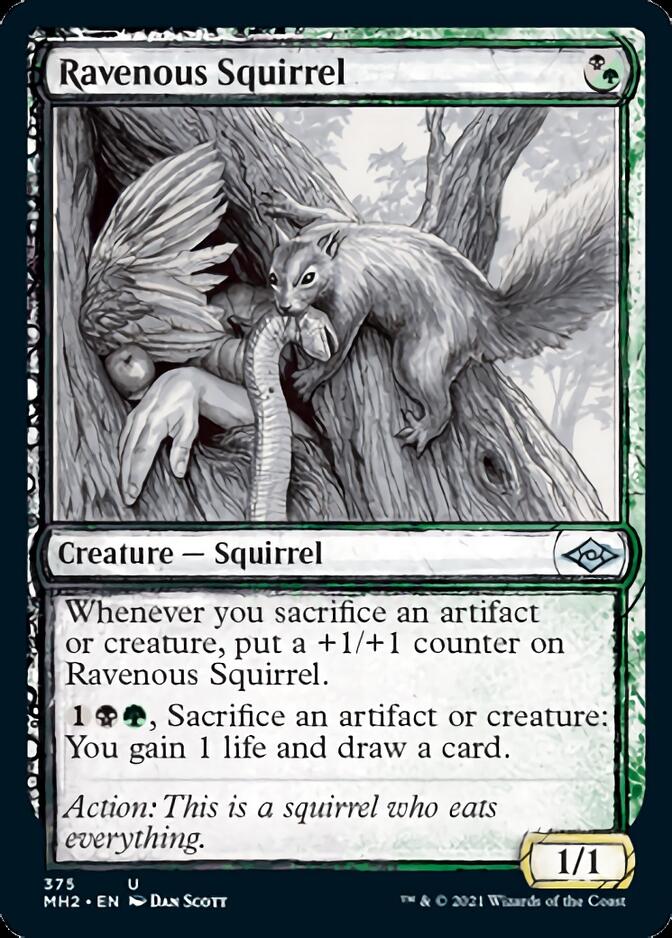 Ravenous Squirrel (MH2-375) [Modern Horizons 2]: (Showcase)