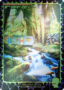Forest (1656) (Rainbow Foil) (SLD-1656) [Secret Lair Drop Series] Foil