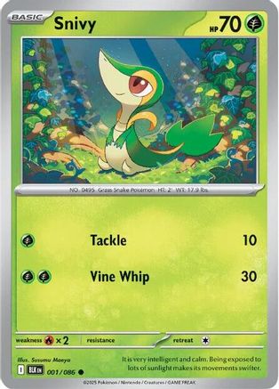 Snivy 1 - [SV Black Bolt]