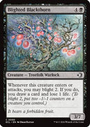 Blighted Blackthorn (ECL-090) [Lorwyn Eclipsed] Foil