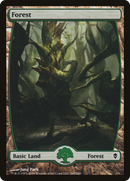 Forest (247) - Full Art (ZEN-247) [Zendikar]