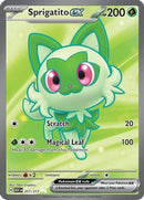 Sprigatito ex 251 - [ME Ascended Heroes] Holofoil