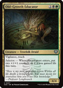 Old-Growth Educator (SOS-207) [Secrets of Strixhaven] Foil