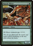 Muscle Sliver (PDS-009) [Premium Deck Series: Slivers] Foil
