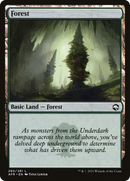 Forest (AFR-280) [Adventures in the Forgotten Realms]