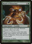 Reach of Branches (MOR-132) [Morningtide]