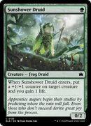 Sunshower Druid (BLB-195) [Bloomburrow] Foil