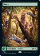 Forest (SLD-1515) [Secret Lair Drop]: (Full Art) Foil