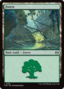 Forest (TDM-285) [Tarkir: Dragonstorm] Foil