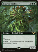 Gnarled Professor (Extended Art) (STX-319) [Strixhaven: School of Mages]