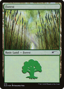 Forest (SLD-579) [Secret Lair Drop] Foil