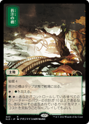 Mosswort Bridge (SLD-440) [Secret Lair Drop] Foil