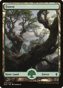 Forest (BFZ-274) [Battle for Zendikar] Foil