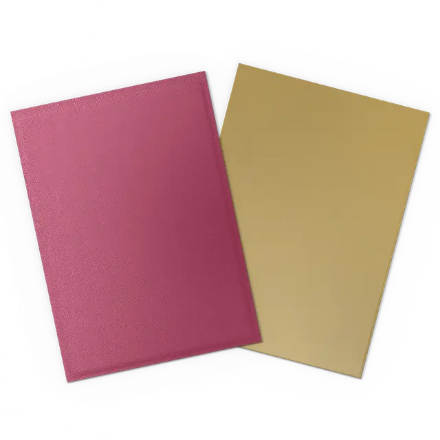 Dragon Shield Dual Matte Card Sleeve - Special Edition