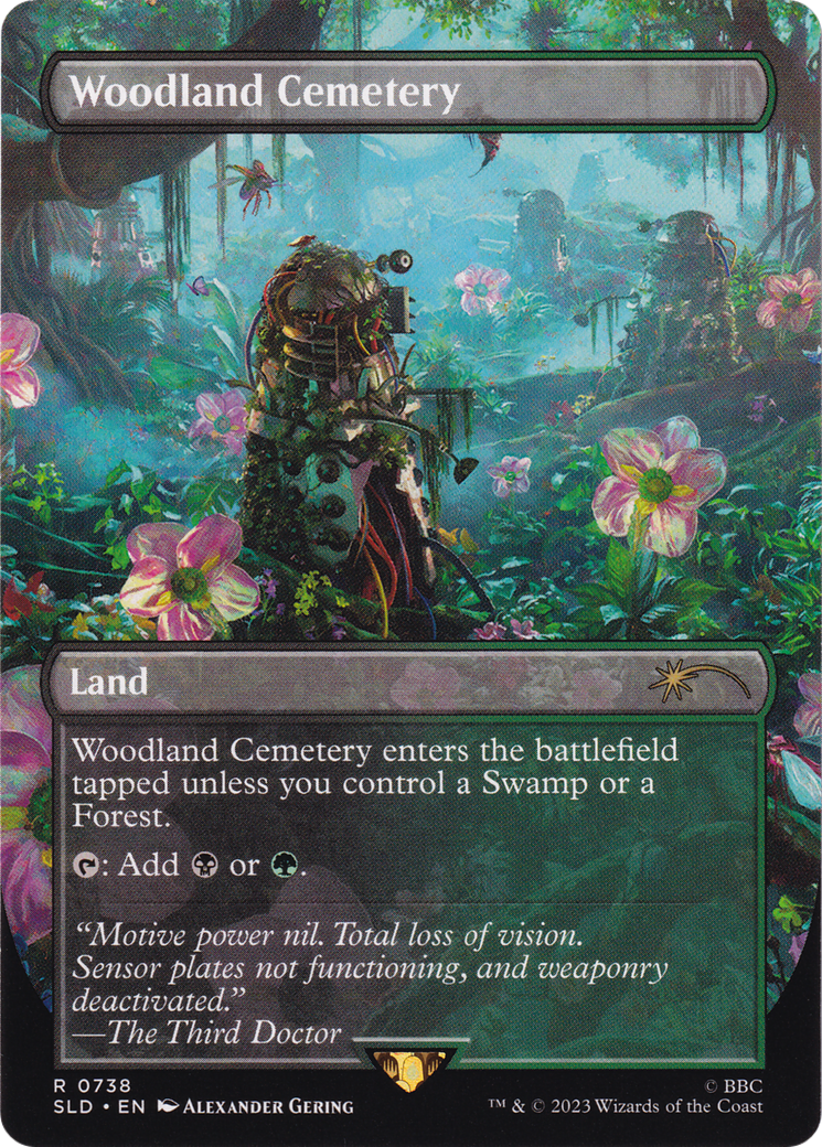 Woodland Cemetery (SLD-738) [Secret Lair Drop]: (borderless) (Borderless)