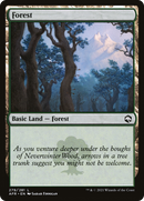 Forest (AFR-279) [Adventures in the Forgotten Realms]