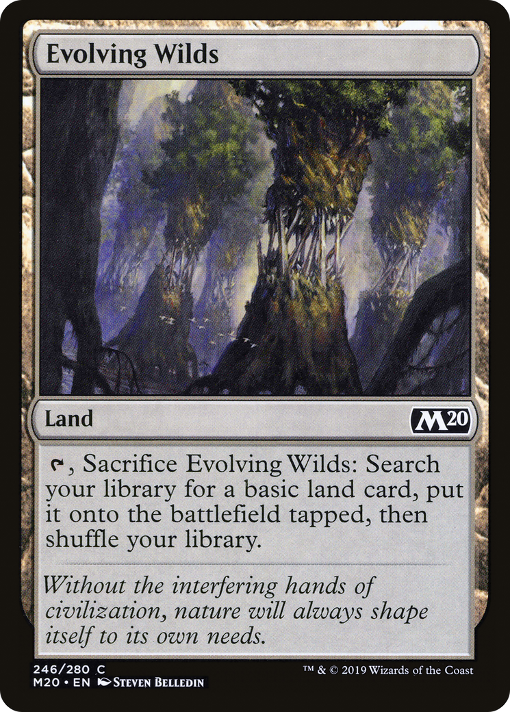 Evolving Wilds (M20-246) [Core Set 2020] Foil