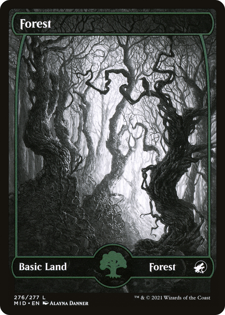 Forest (MID-276) [Innistrad: Midnight Hunt]: (Full Art, Showcase) Foil