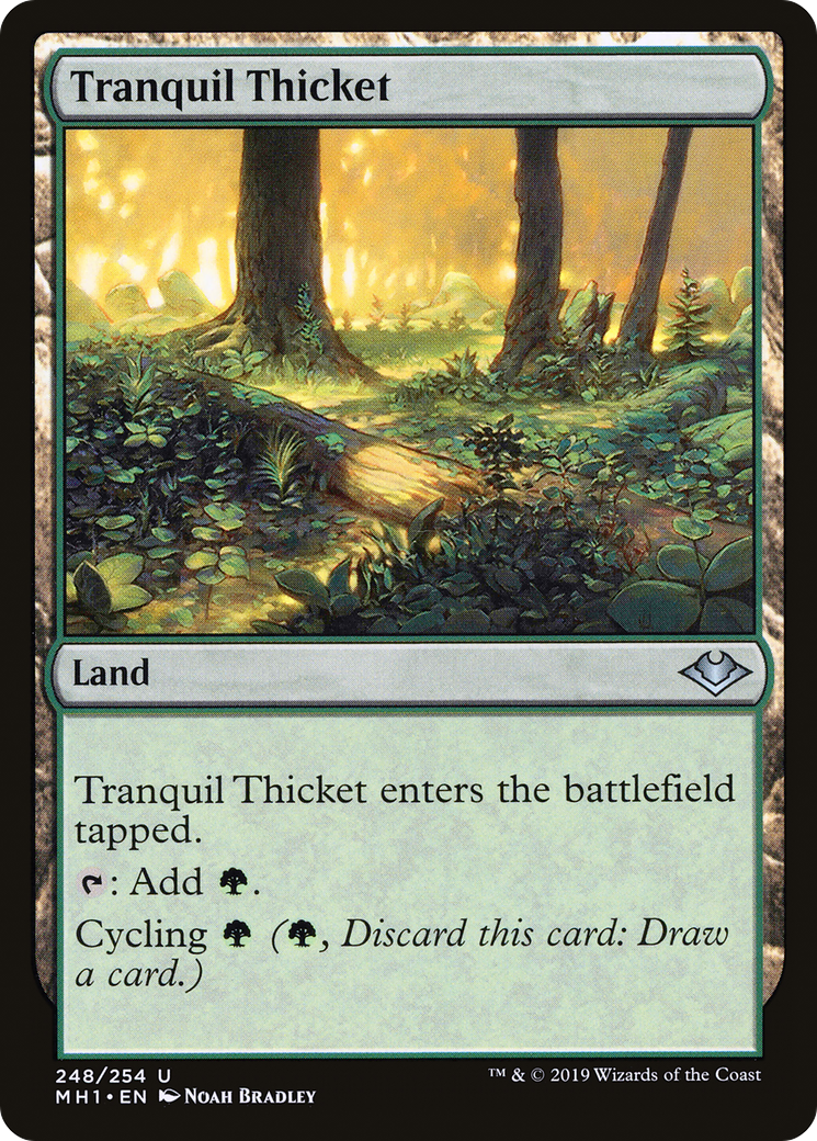 Tranquil Thicket (MH1-248) [Modern Horizons]