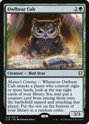Owlbear Cub (CLB-246) [Commander Legends: Battle for Baldur's Gate] Foil