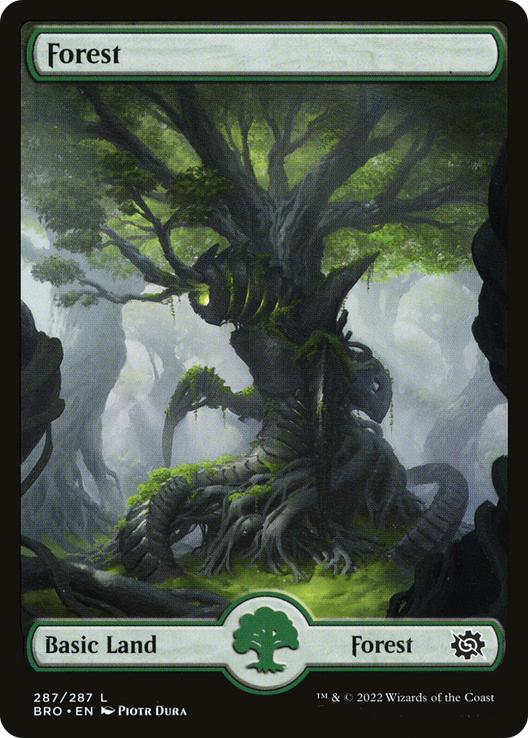 Forest (BRO-287) [The Brothers' War] Foil