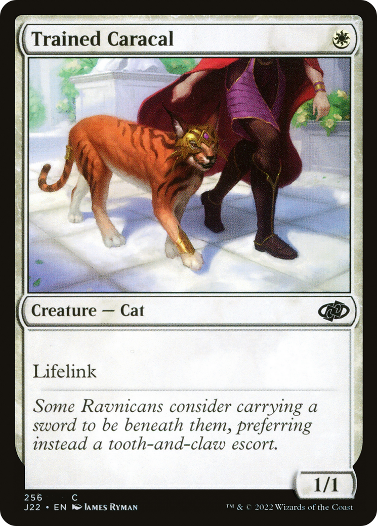Trained Caracal (J22-256) [Jumpstart 2022]