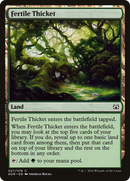 Fertile Thicket (DDR-027) [Duel Decks: Nissa vs. Ob Nixilis]