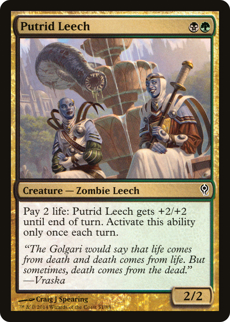 Putrid Leech (DDM-051) [Duel Decks: Jace vs. Vraska]