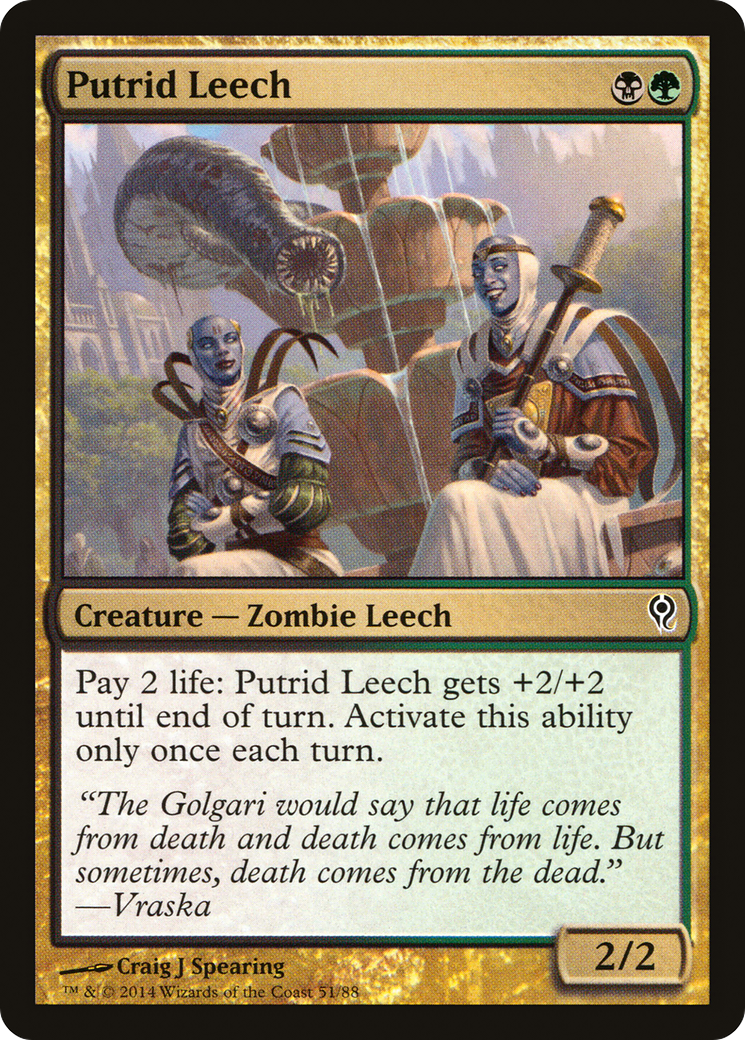 Putrid Leech (DDM-051) [Duel Decks: Jace vs. Vraska]