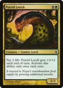 Putrid Leech (DDJ-053) [Duel Decks: Izzet vs. Golgari]