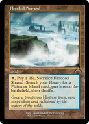 Flooded Strand (MH3-436) [Modern Horizons 3] Foil